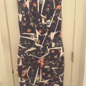 Erdem Floral Print Dress